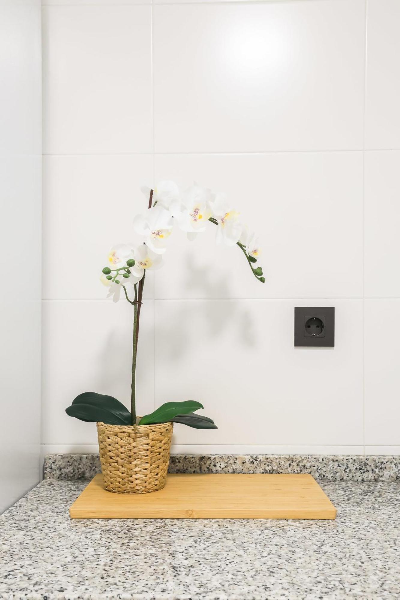 Apartamento Palermo Living Suites En Burriana Luaran gambar